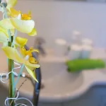 Maestral Apartman *