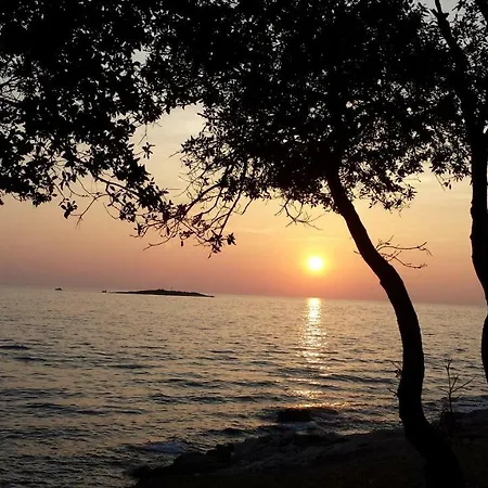 Maestral * Porec