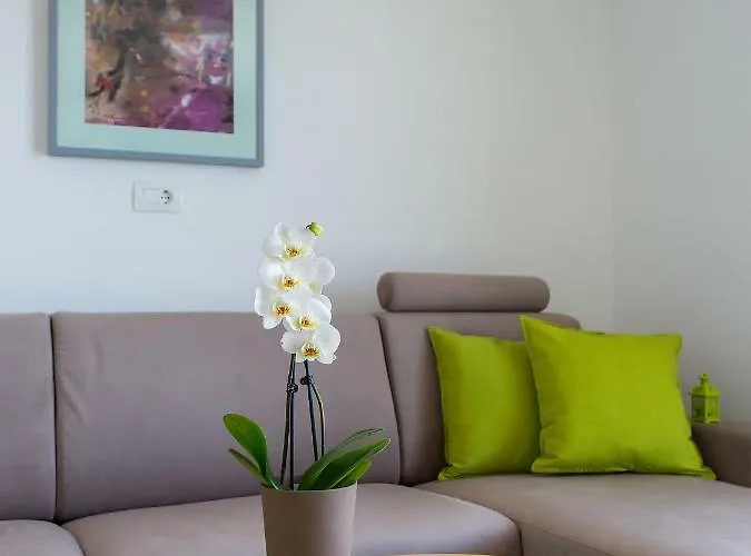 Maestral * Пореч